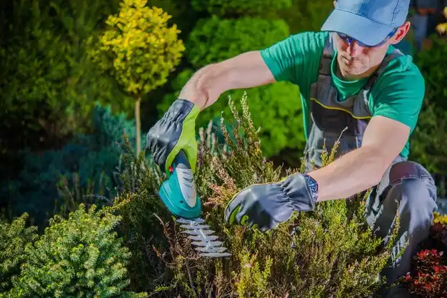 landscaping services Auburn Hills